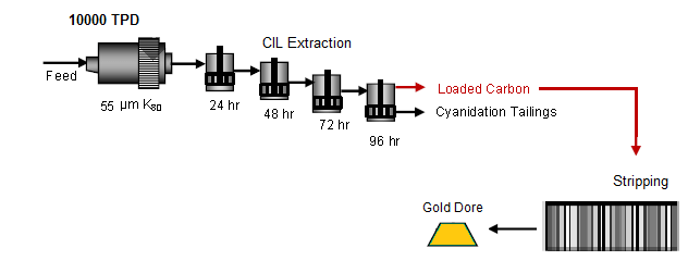 CIL Gold Process
