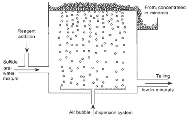 Froth Flotation Process