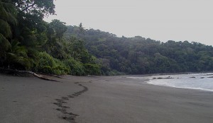 800px-Corcovado_Strand_Nationalpark