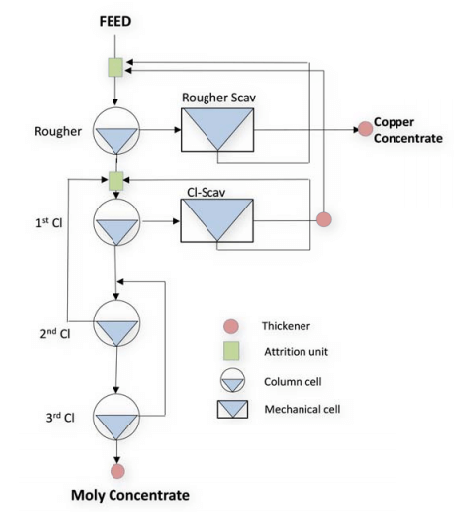 Model Example Copper Moly Seperation Circuit Flowsheet