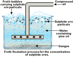 Froth Flotation Cell