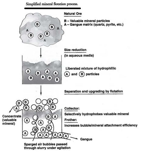 Mineral Flotation Process