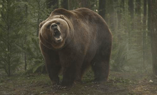 bad bear in toy story