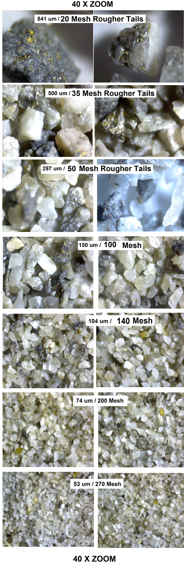 size-by-size-particles for microscopy