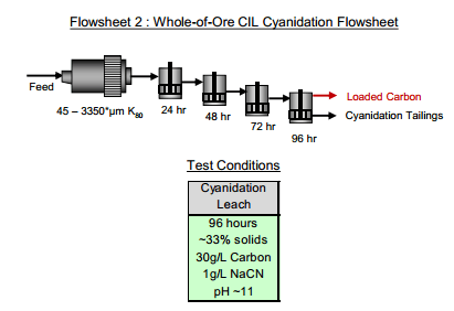 Whole Ore CIL Cyanidation of gold