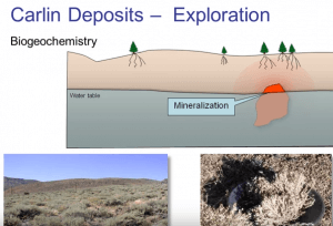 Carlin style gold mineralization pdf