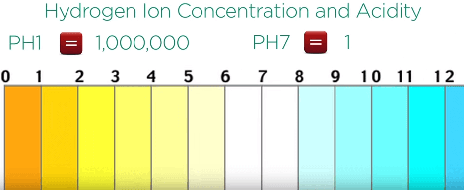 pH 1 has hydrogen ion concentration