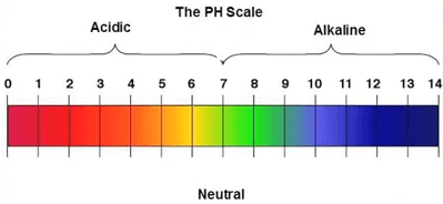 pH scale actually measures hydrogen ion concentration