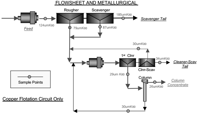 Rougher Scavenger Kinetics