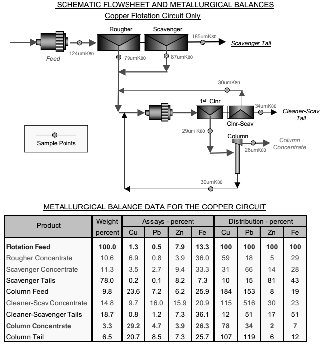 Flotation Process Development and Assessment