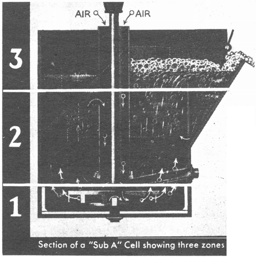 3 flotation cell froth zones