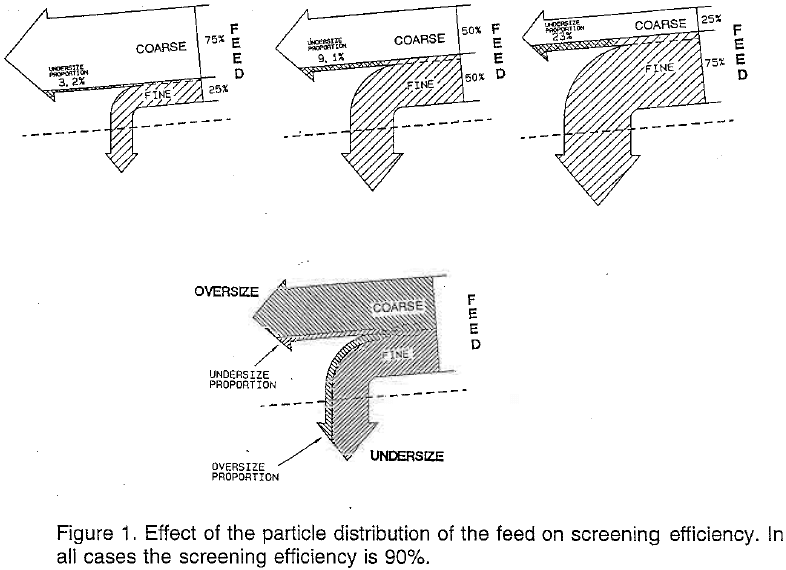 Effect of the Particle