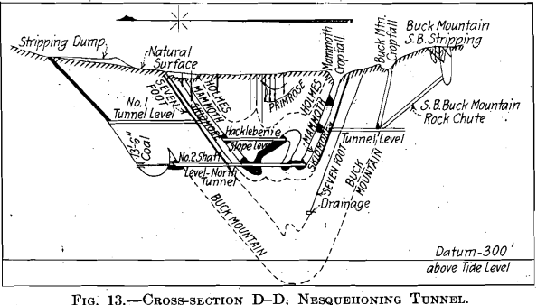 cross section d d nesquehoning tunnel anthracite basin