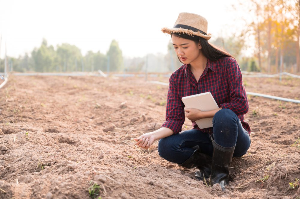 Best Soil Samplers 1