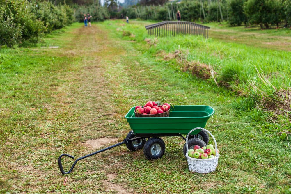 best yard carts 1