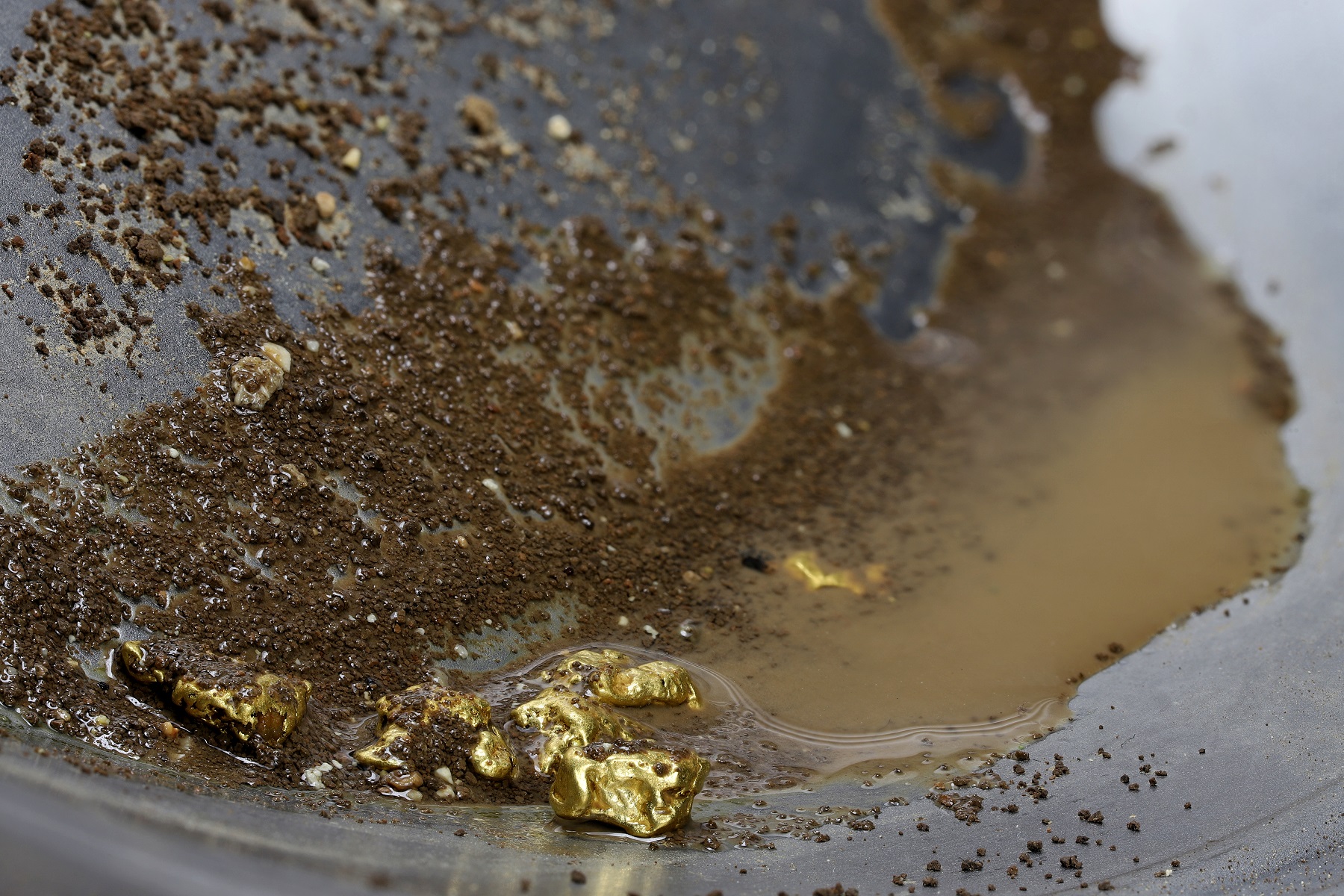 Top 10 Best Gold Panning in Golden, CO - November 2023 - Yelp