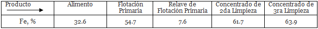 procesamiento de hematita por flotación siguiente tabla