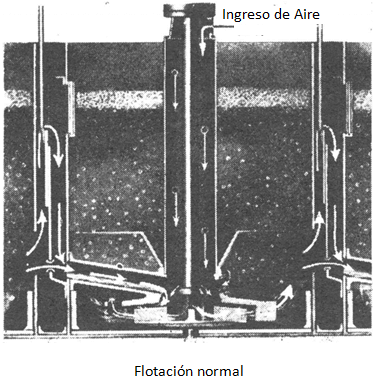 flotacion-normal