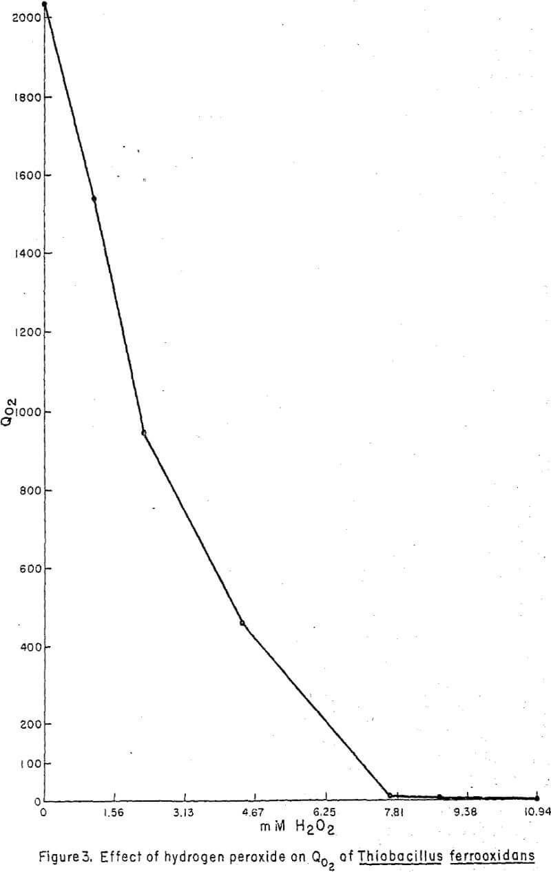 The Effect of Hydrogen Peroxide on Leach Dump Bacteria - 911Metallurgist