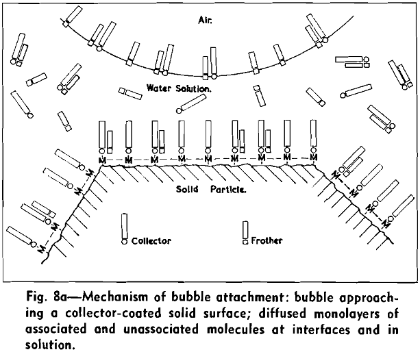Flotation Theory Molecular Interactions Between Frothers and Collectors